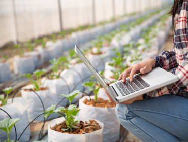 User generated content in real-time