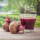beetroot