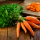 carrot